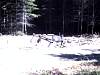 20020814A_002.jpg