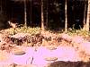 CabinUtilities_20020803_010.jpg