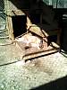 2012-03-25_0001.jpg