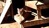 2013-03-23_12-44-22.jpg