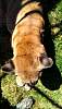 2013-09-07_12-35-32.jpg