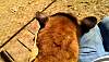 2013-09-07_12-36-51.jpg