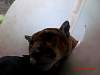 2014-02-24_13-18-52.JPG