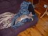 2004-05-27_0025.JPG
