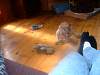 2004-05-28_0006.JPG
