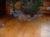 2004-05-28_0007.JPG