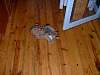 2004-06-26_0013.JPG