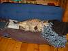 2004-06-29_0021.JPG
