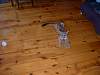 2004-07-01_0002-A.JPG