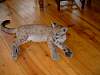 2004-07-16_0005.JPG