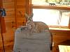 2004-07-18_0002.JPG