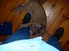 2004-09-17_0009.JPG