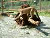 2005-05-01_0012.JPG
