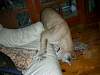 2005-08-13_06-36-46.JPG