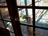 2005-11-06_13-20-00.JPG