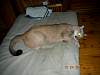 2005-12-24_08-22-27.JPG
