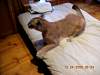 2005-12-24_08-24-24.JPG