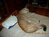 2005-12-24_08-26-50.JPG