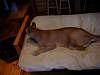 2005-12-24_08-33-18.JPG