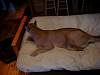 2005-12-24_08-33-19_1.JPG