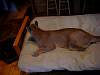 2005-12-24_08-33-19.JPG