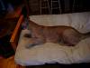 2005-12-24_08-33-20.JPG