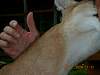 2006-04-21_17-42-15.JPG