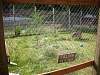 2010-07-09_172322.JPG