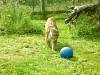 2010-07-09_172344.JPG