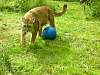 2010-07-09_172350.JPG