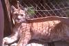 2011-05-28_154451.jpg