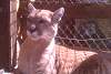 2011-05-28_154504.jpg