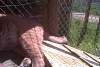 2011-05-28_154511.jpg