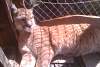 2011-05-28_154523.jpg