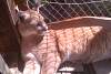2011-05-28_154529.jpg