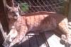 2011-05-28_154551.jpg