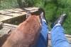 2011-06-06_152614.jpg