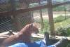 2011-06-06_152652.jpg