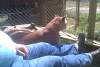 2011-06-06_152700.jpg
