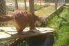 2011-06-06_152809.jpg
