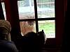 2013-03-23_090934.JPG