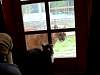 2013-03-23_090939.JPG