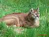 2014-05-18_100437.JPG