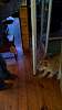 2017-06-03_201850001.jpg