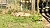 2017-07-04_092112951_HDR.jpg