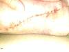 2018-03-08_082534984.jpg