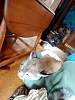 2018-03-31_131703878.jpg