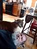2018-04-06_123123410.jpg