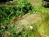 2006-07-21_16-25-20.JPG